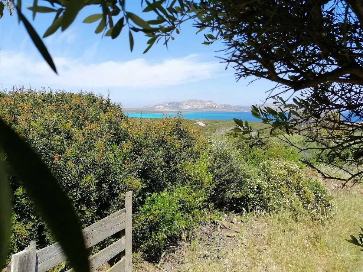 Roccabianca Rooms & Studios Stintino